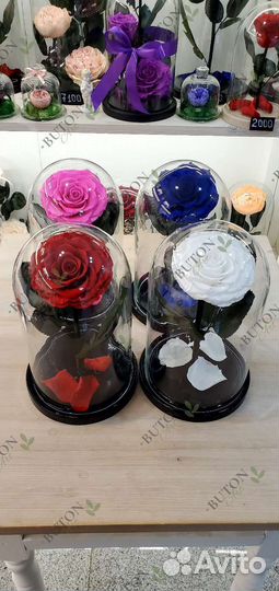 Розы в колбе опт/розница