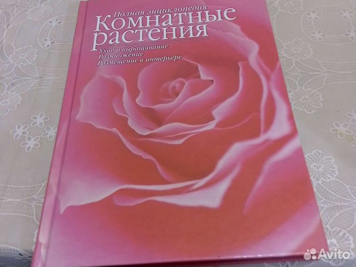 Комнатные растения