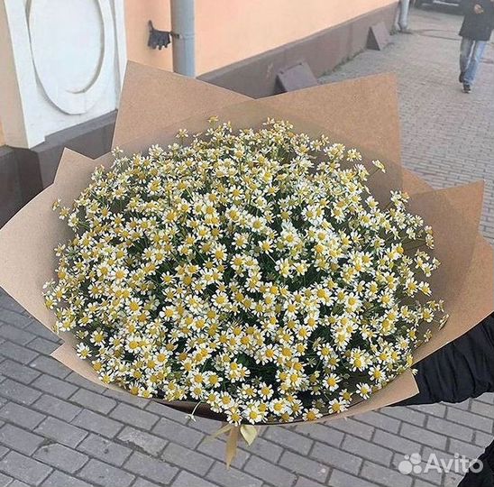 Ромашки букет