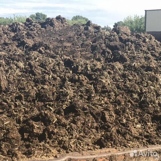 Навоз коровий