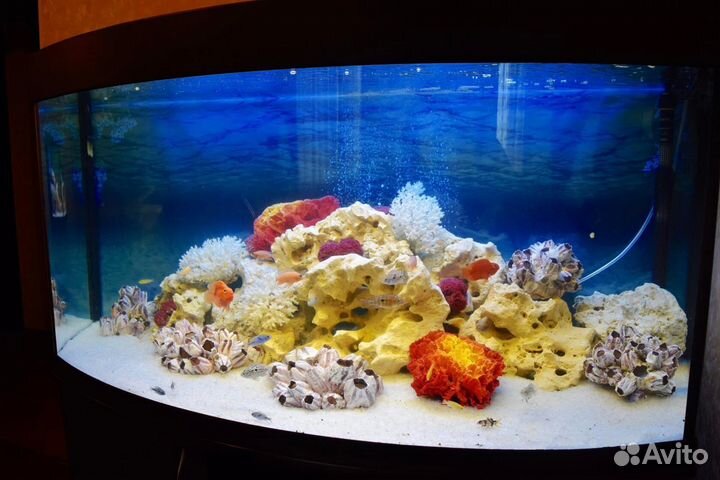 Аквариум панорамный 300 литров