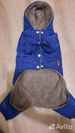 Зимняя одежда для собак