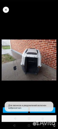 Контейнер для перевозки собак