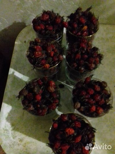 Шиповник сушеный