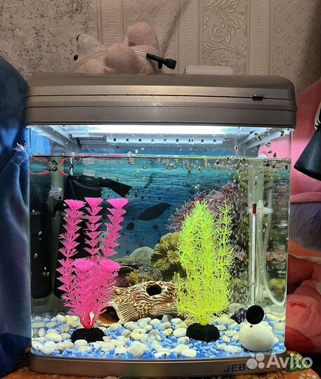 Аквариум 12 литров