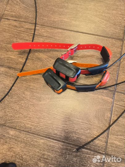 Garmin ошейник версия Америка