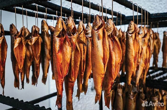 Рыба копченая, соленая, вяленая оптом