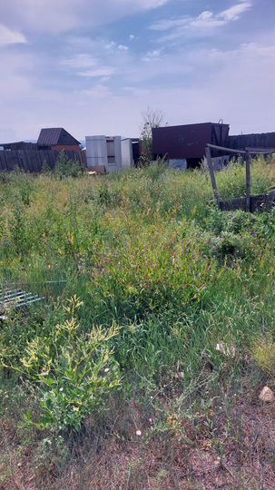 Дача 20 м² на участке 7,69 га