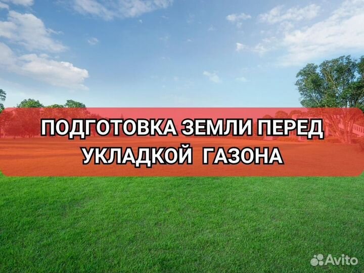 Рулонный газон