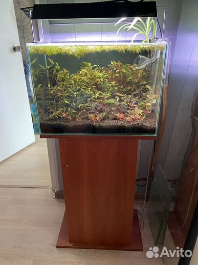 Аквариум. Свет Chihiros. Рефректометр