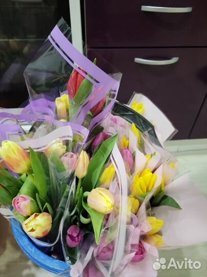 Продам тюльпаны