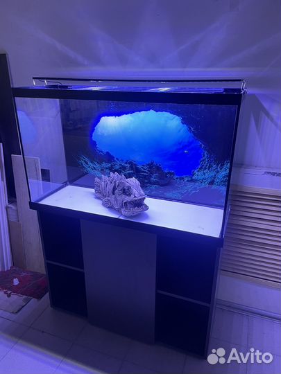 Аквариум с тумбой 210 литров