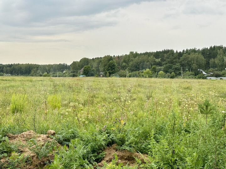 Участок 13 сот. (СНТ, ДНП)