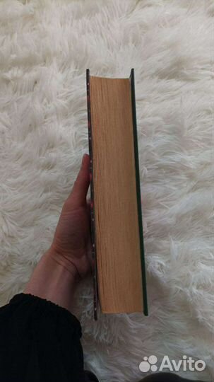 Романы Мадонна семи холмов, Лукреция во всем блеск