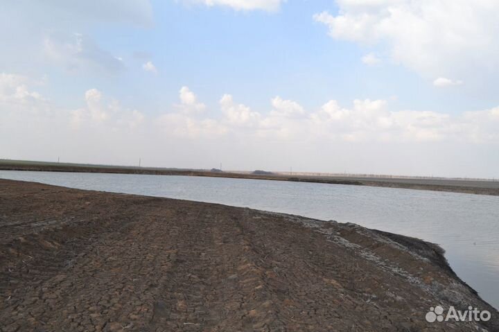 Пруд-карпятник