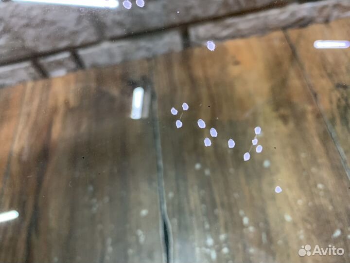 Hyundai Genesis G80 Стекло двери задней правой