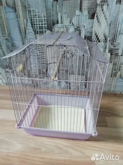 Клетка для грызунов бу