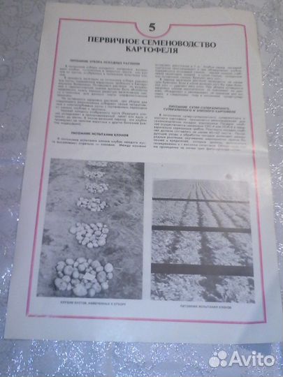 Плакаты