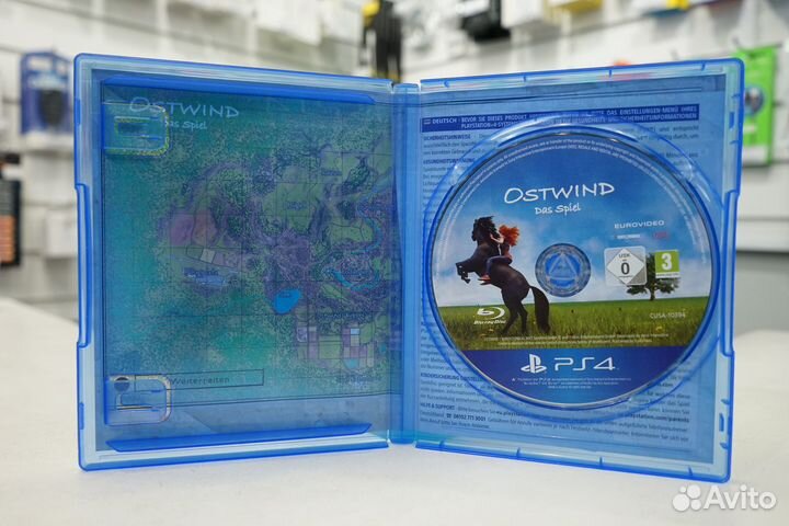 Ostwind / Windstorm The Game PS4