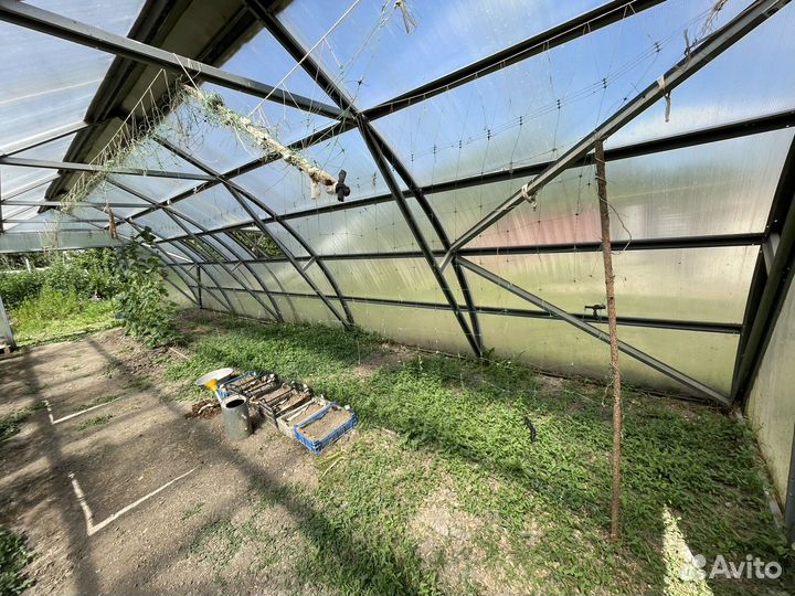 Теплица 5х10