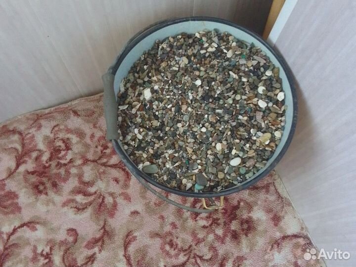 Продам ведро грунта в аквариум