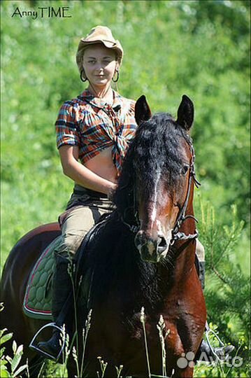 Конные прогулки, обучение