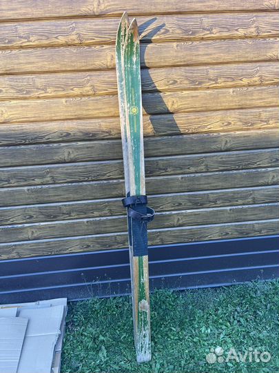 Лыжи охотничьи