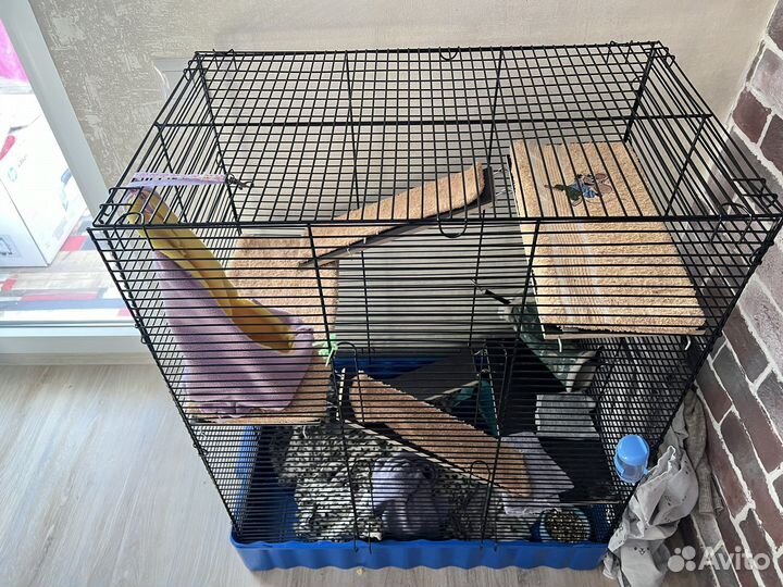 Клетка для грызунов большая (+домики и поилка)