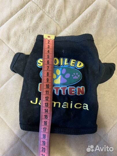 Одежда для собак