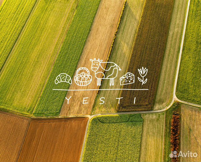 Инвестиции в интерне-магазин по продаже фермерских