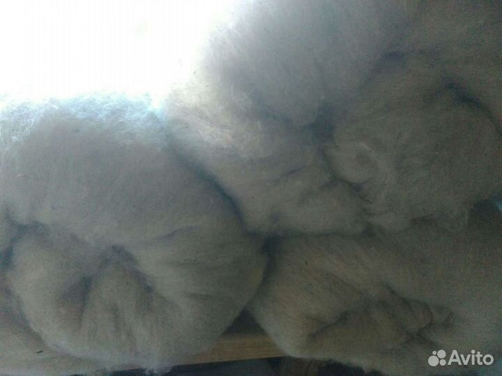 Шерсть овечья