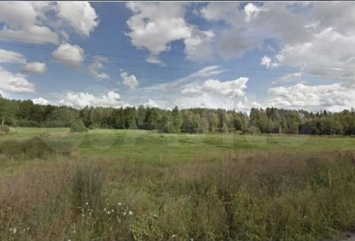 Участок 5,5 га (ИЖС)