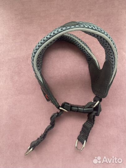 Шлейка для маленькой собаки