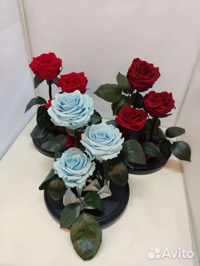 Роза в колбе