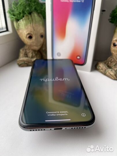 iPhone X, 256 ГБ