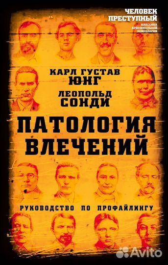 Поталогия влечений Юнг, Сонди