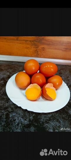Домашние куриные яйца