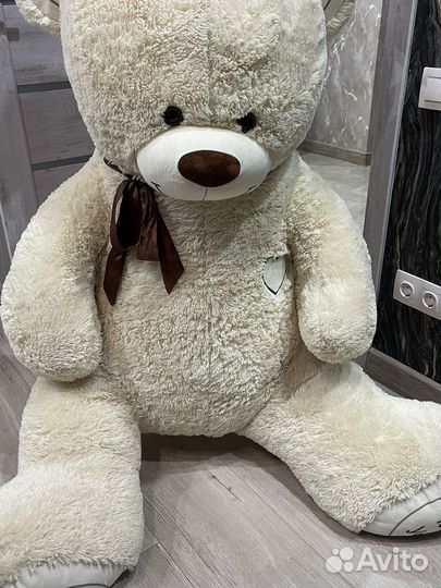 Плюшевый медведь