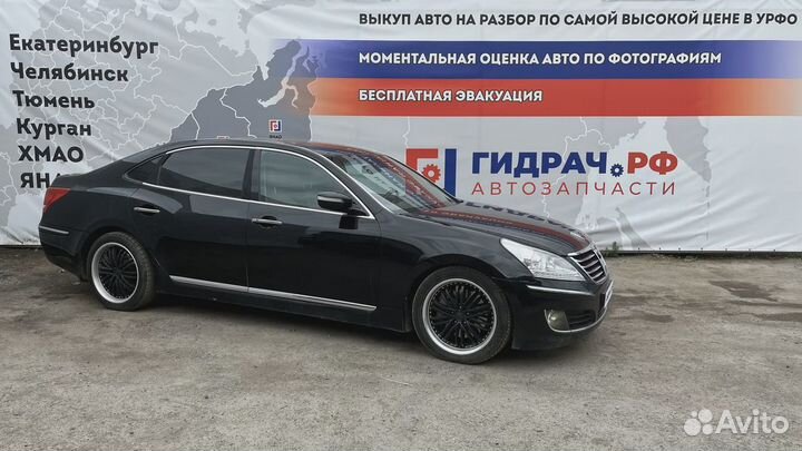 Накладка петли багажника левая Hyundai Equus (VI) 81911-3N000