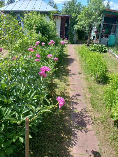 Участок 7 сот. (СНТ, ДНП)