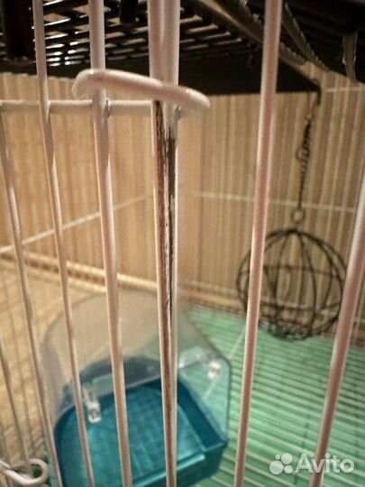 Клетка для грызунов