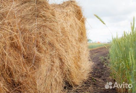 Шпагат 7700текс,Россия, белый, 10 кг