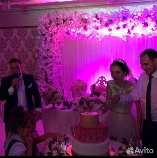 Ведущий Тамада на свадьбу Юбилей, DJ, Караоке