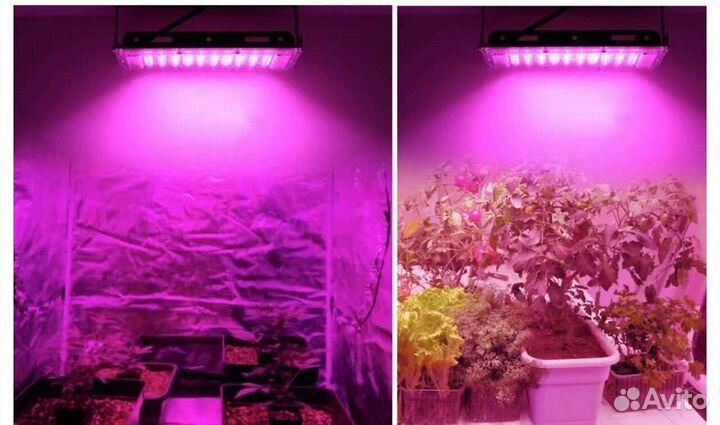 Фитолампа полный спектр