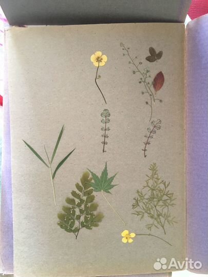 Папка для гербария СССР