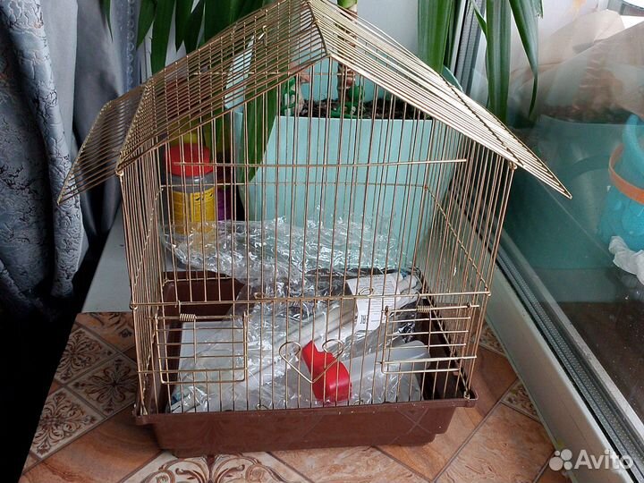 Клетка для попугая