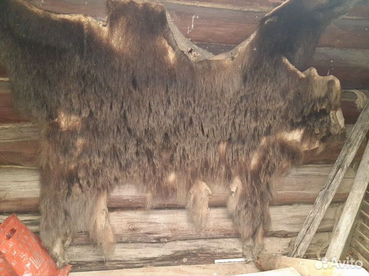 Шкура медведя имитация