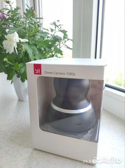 YI Dome Camera 1080p