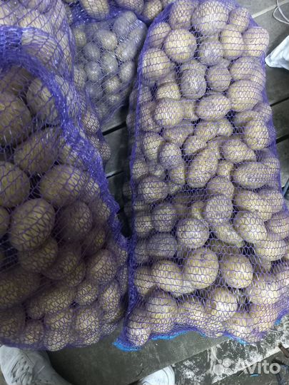 Картошка с доставкой