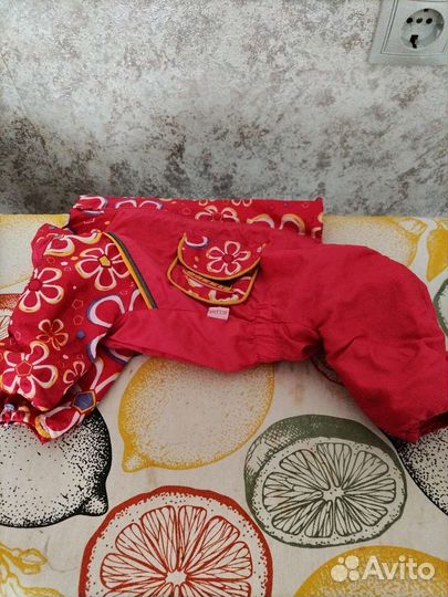 Одежда для хвостика